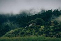 命运对每个人都是公平的_作文