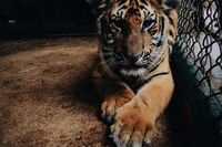 初中作文:懒,不是一个贬义词 1 初中作文:懒,不是一个贬义词 1