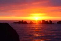 成长的挫折作文1