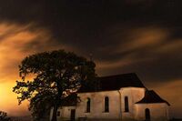 遨游汉字王国作文1