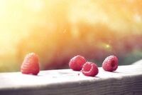 小学龟兔赛跑作文1