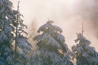 乘着音乐的翅膀作文 1