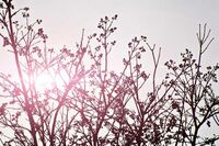 【篇一：初中生活】