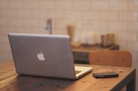 说不尽的桥作文1