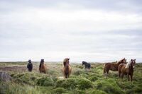 安全教育的征文作文篇1