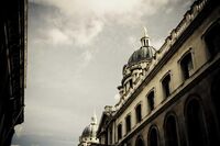 遨游汉字王国作文200字 篇1