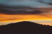 爸爸的爱优秀作文【1】