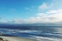 我的梦想作文800字