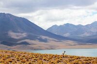 暑期安全教育主题班会【篇一】 暑期安全教育主题班会【篇一】