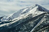 篇一:中学生要不要读名著 篇一:中学生要不要读名著