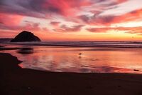 做一个成功的人作文 1