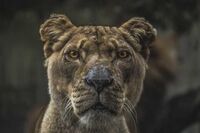 向上向善好青年事迹材料 篇1