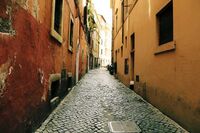 幸会同学作文500字