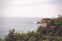 感恩的初三英语作文 1