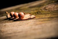 世界艾滋病日防艾宣传演讲稿 世界艾滋病日防艾宣传演讲稿