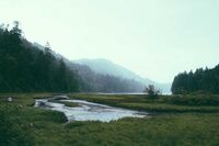 小白兔出走记童话作文