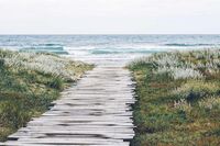 春节的起源初二作文