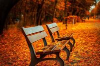 高中语文第六册第四单元作文：改变自己，才能改变世界