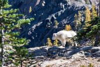 春天来了作文100字