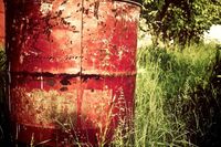 成长的故事作文 1