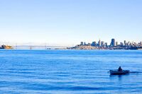 有一种信仰叫爱国的作文