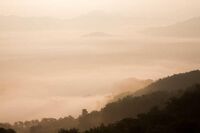 �����һ���ʮ����