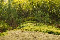 珍爱生命主题班会有感小学作文