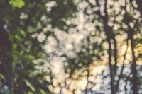 成功的話題作文 篇1