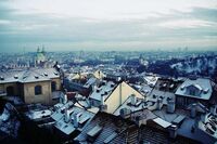 让世界充满爱作文