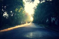 生活中成长的故事作文1