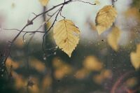 我身边的活雷锋