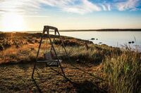 初一军训的作文 1