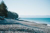 大学毕业的作文1 大学毕业的作文1