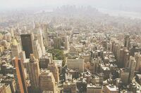 初二托物言志的作文 1