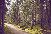 我的理想话题作文 篇1