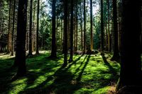 保护环境话题作文 1 保护环境话题作文 1