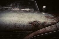 关爱艾滋病人作文