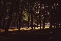 家乡的变化高中作文1 家乡的变化高中作文1