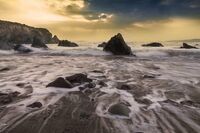 难忘的一天作文600字