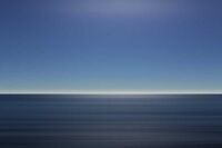 小白兔脱险记作文350字