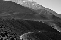 作文：我的芭蕾舞生涯