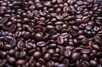 我的偶像是爸爸作文 篇1