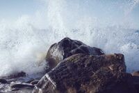 不诚信的作文 1