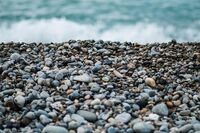 小学作文700字：我的芭蕾梦 1