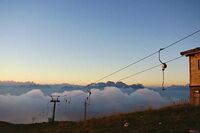 作文素材人物事例袁隆平