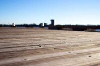 捡贝壳的作文二年级(一) 捡贝壳的作文二年级(一)