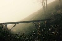 芭蕾舞作文1 芭蕾舞作文1